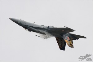 D71_4728