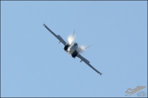 D7T_1731