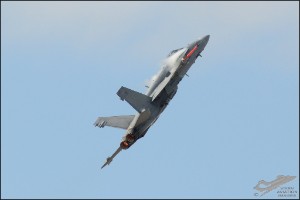 D7T_1749