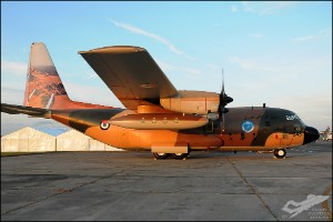 D30_9446
