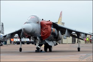 D7T_1796