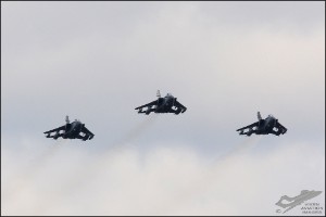 D71_3373a