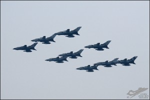 D7T_0743a