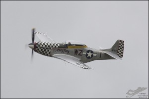 D71_5529