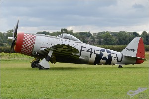 D7T_2654