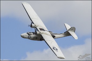 D7T_2759