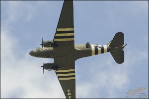 D7T_2856