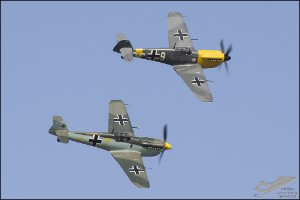 D7T_2884