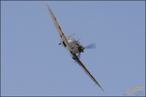 D71_6729a