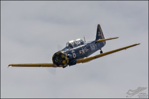 D71_6854