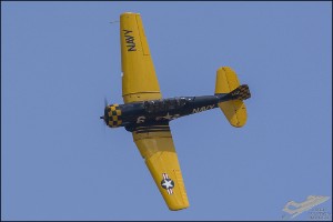 D71_6860