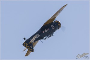 D71_6877