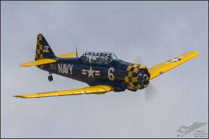D71_6905
