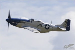 D71_6941