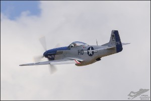 D71_6951