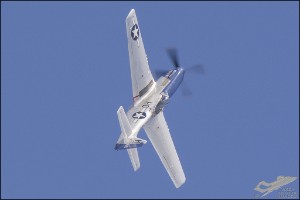D71_6983a