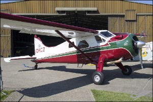 D7T_3469