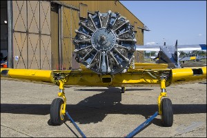 D7T_3482
