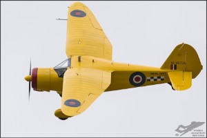 d71_7361