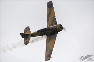 d71_7398