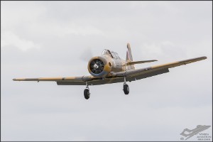 d71_7425