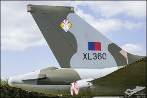 d7t_3635