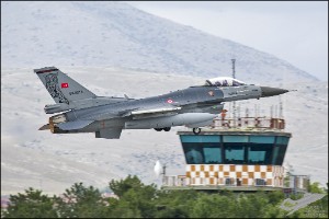 D71_8233