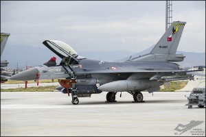 D7T_4037