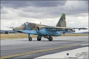 D7T_4183