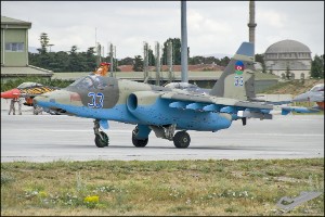 D7T_4198