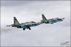 D7T_4219