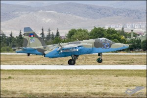D7T_4261