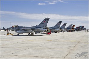 D7T_4376