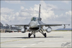 D7T_4516