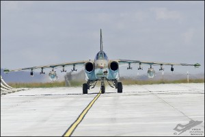 D7T_4611