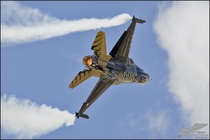 D7T_4655