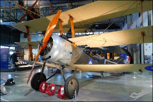 DSCN8471a