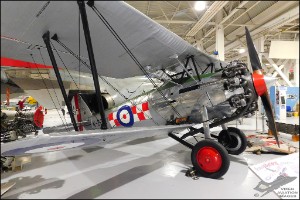 DSCN8598a