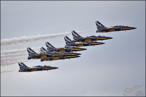 D71_9100
