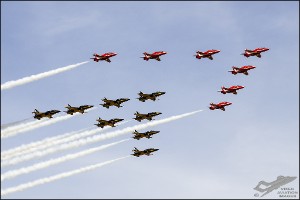 D7T_4873