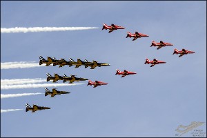 D7T_4879