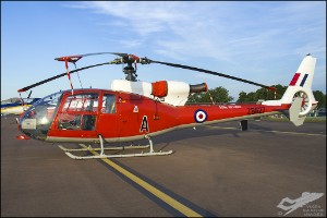 D7T_4822