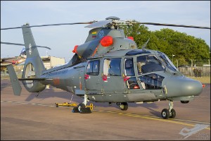 D7T_4835