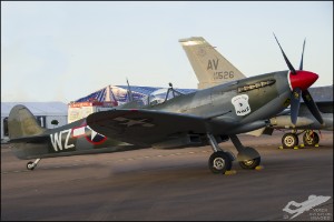 D7T_4841