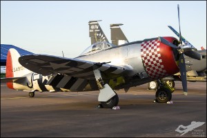 D7T_4845