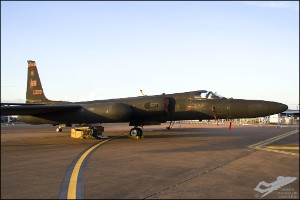 D7T_4851