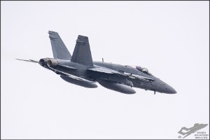 d71_0681