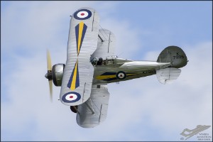 d75_1338