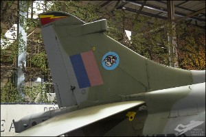 D7T_5026