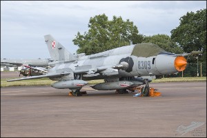 D75_2311